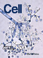 Cell cover