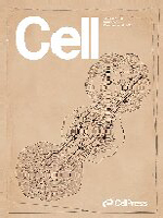 Cell cover