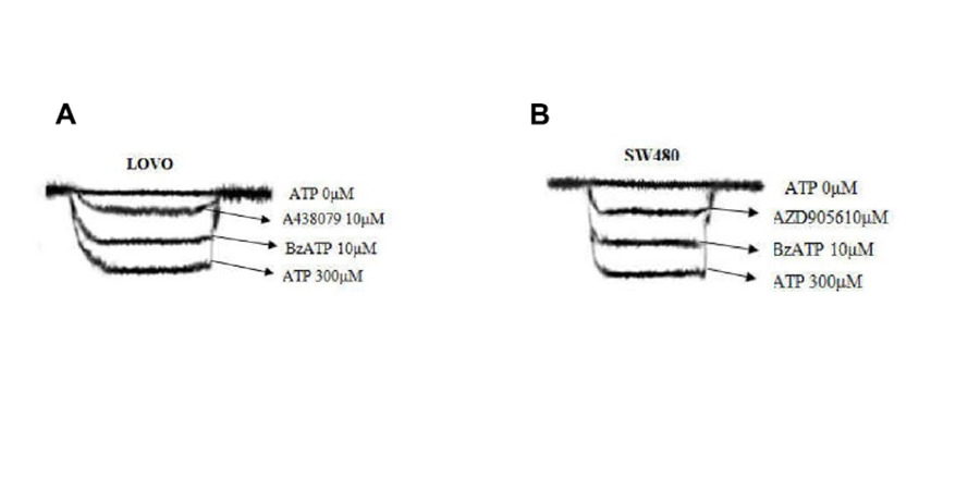 ATP Biological Data