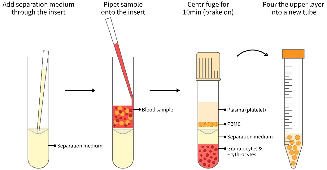 Mouse Peripheral Blood Lymphocyte Separation Kit