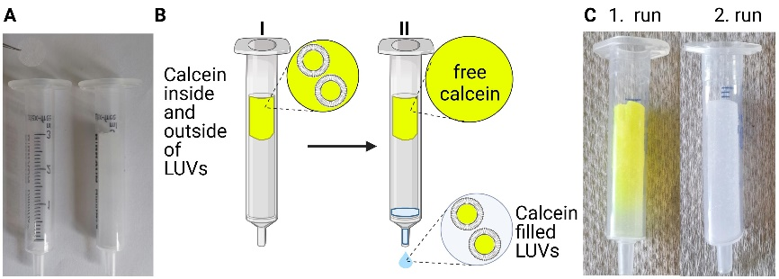 Calcein
