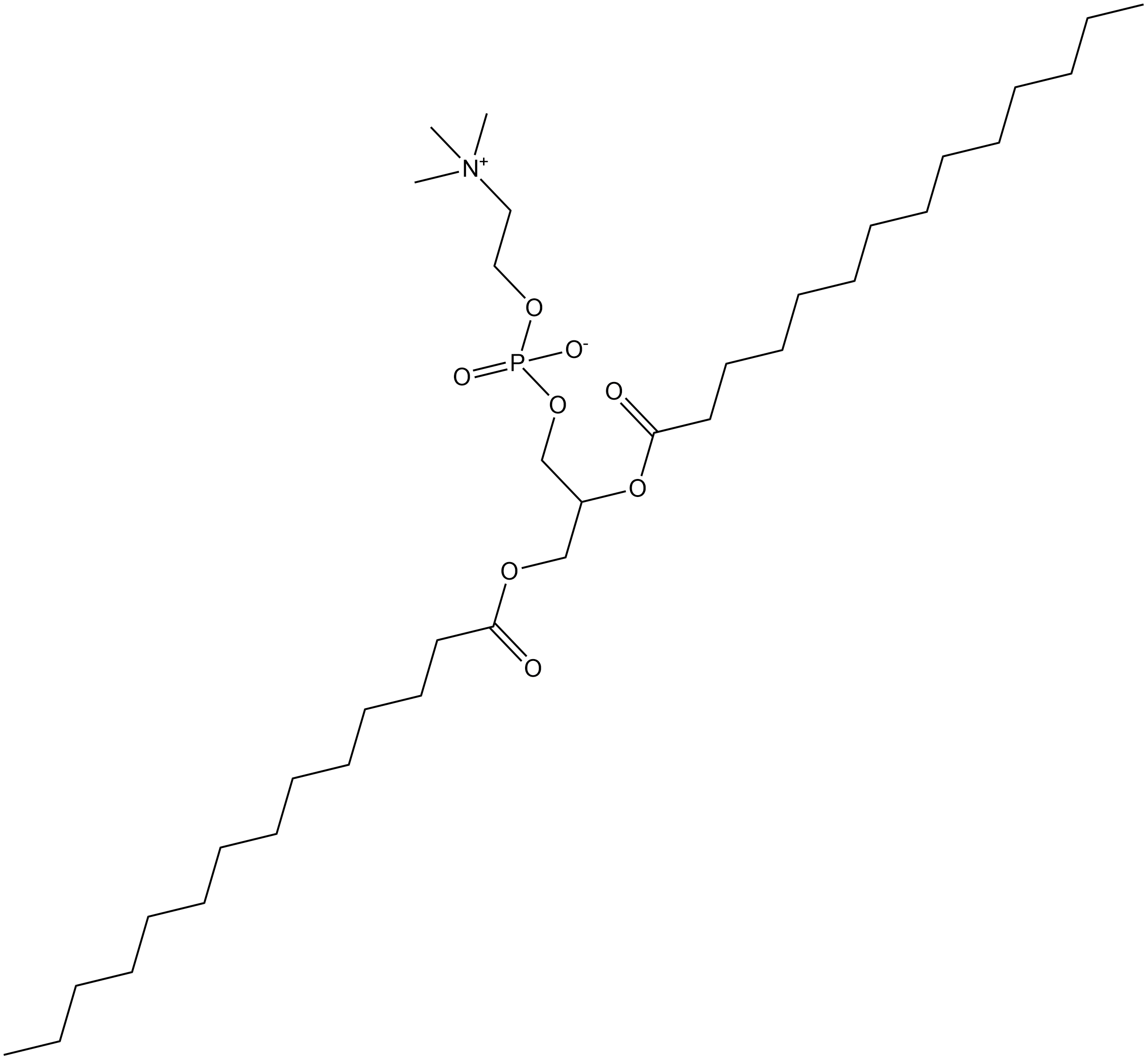 1,2-Dimyristoyl-rac-glycero-3-phosphocholine Chemical Structure