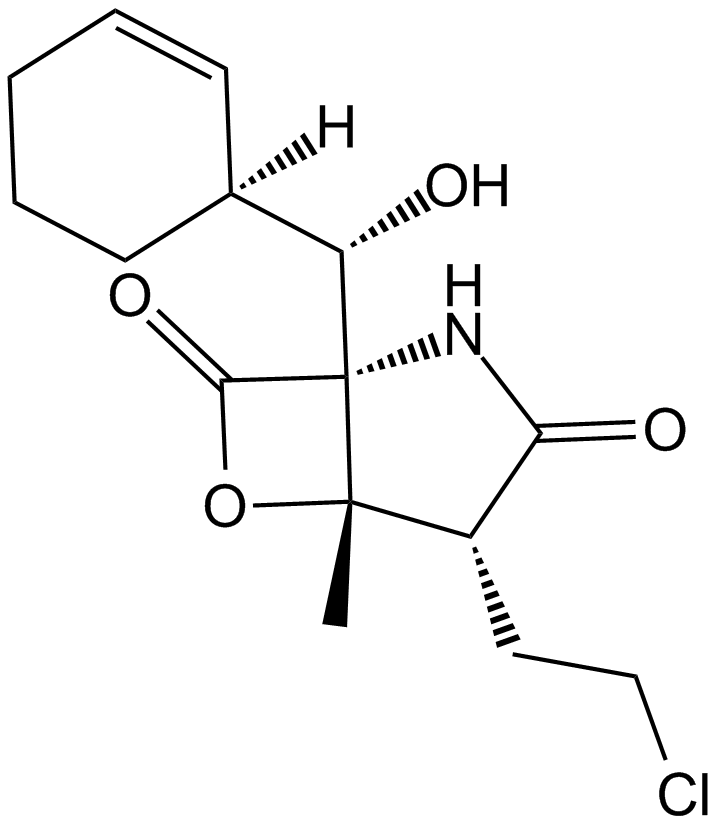 Salinosporamide A (NPI-0052, Marizomib) Chemical Structure