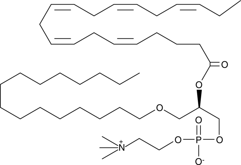 Eicosapentaenoyl PAF C-16 Chemical Structure