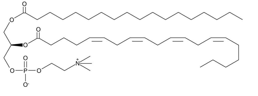 1-Stearoyl-2-Arachidonoyl-sn-glycero-3-PC Chemical Structure
