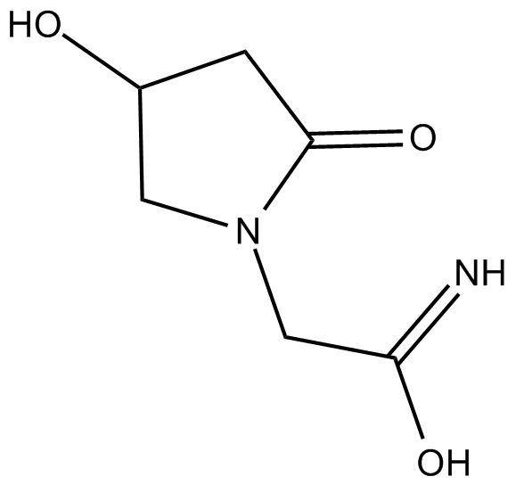 Oxiracetam Chemical Structure