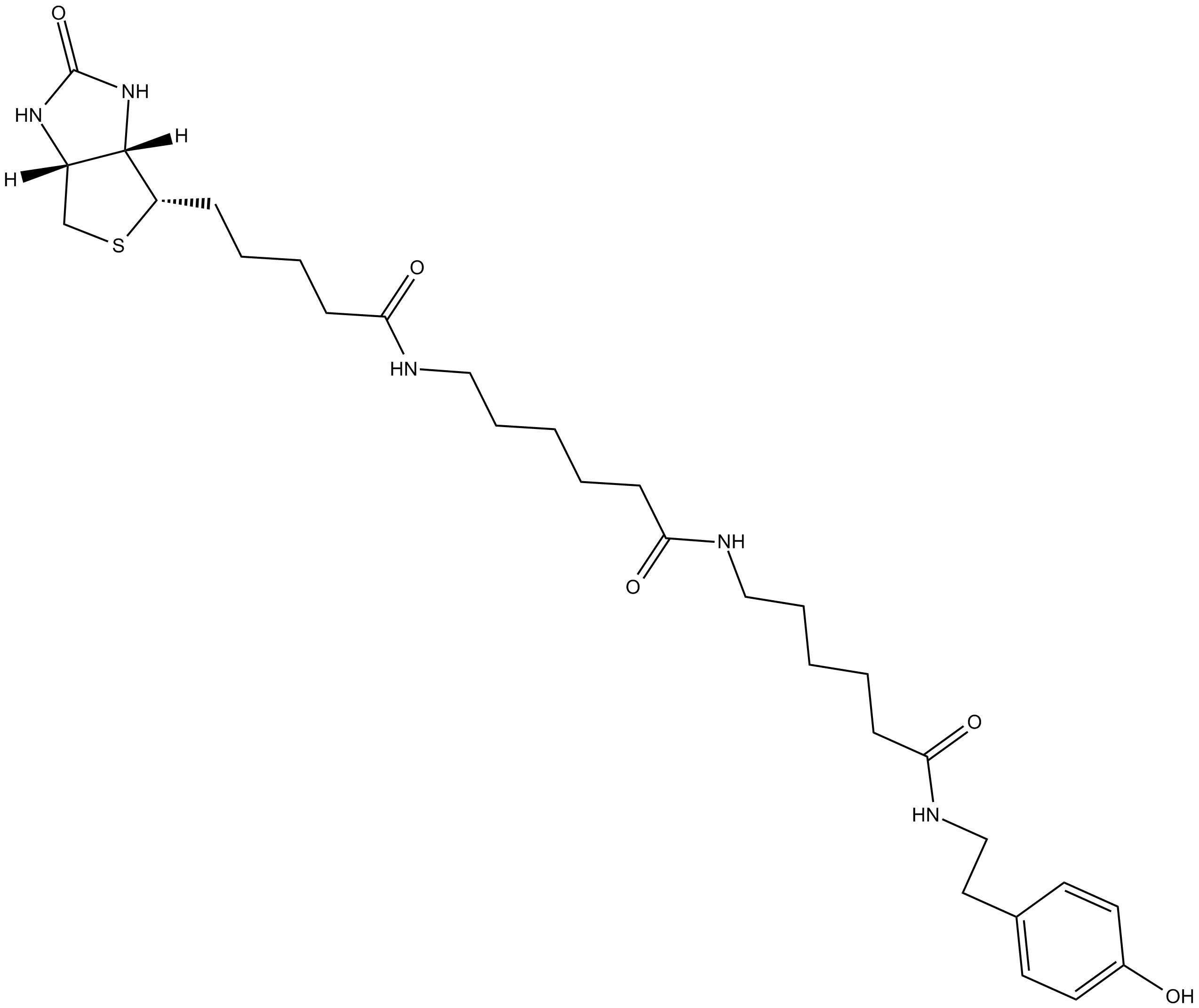 Biotin-XX Tyramide Reagent Chemical Structure
