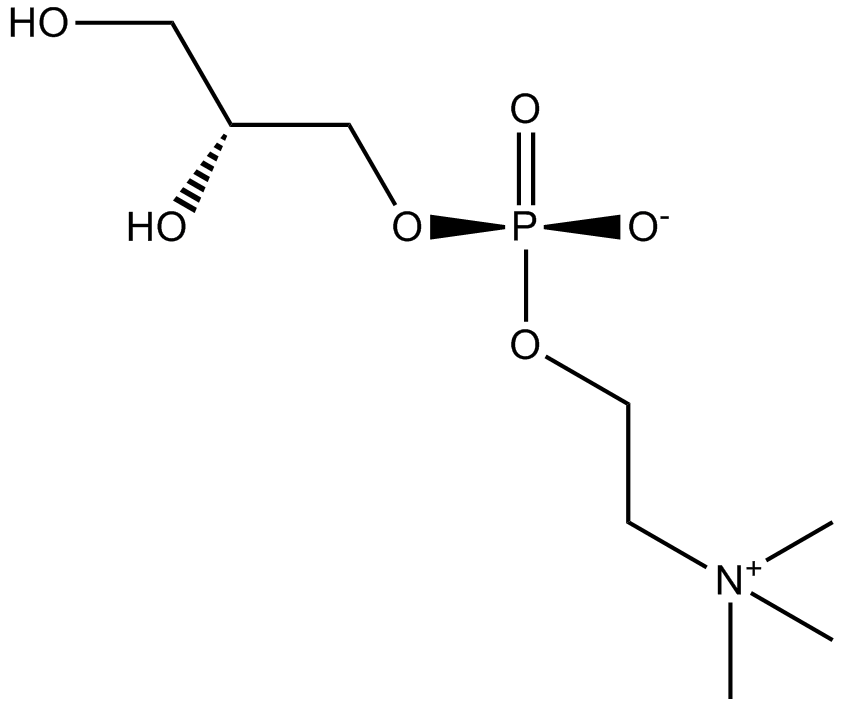 sn-Glycero-3-phosphocholine Chemical Structure
