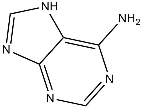Adenine Chemical Structure