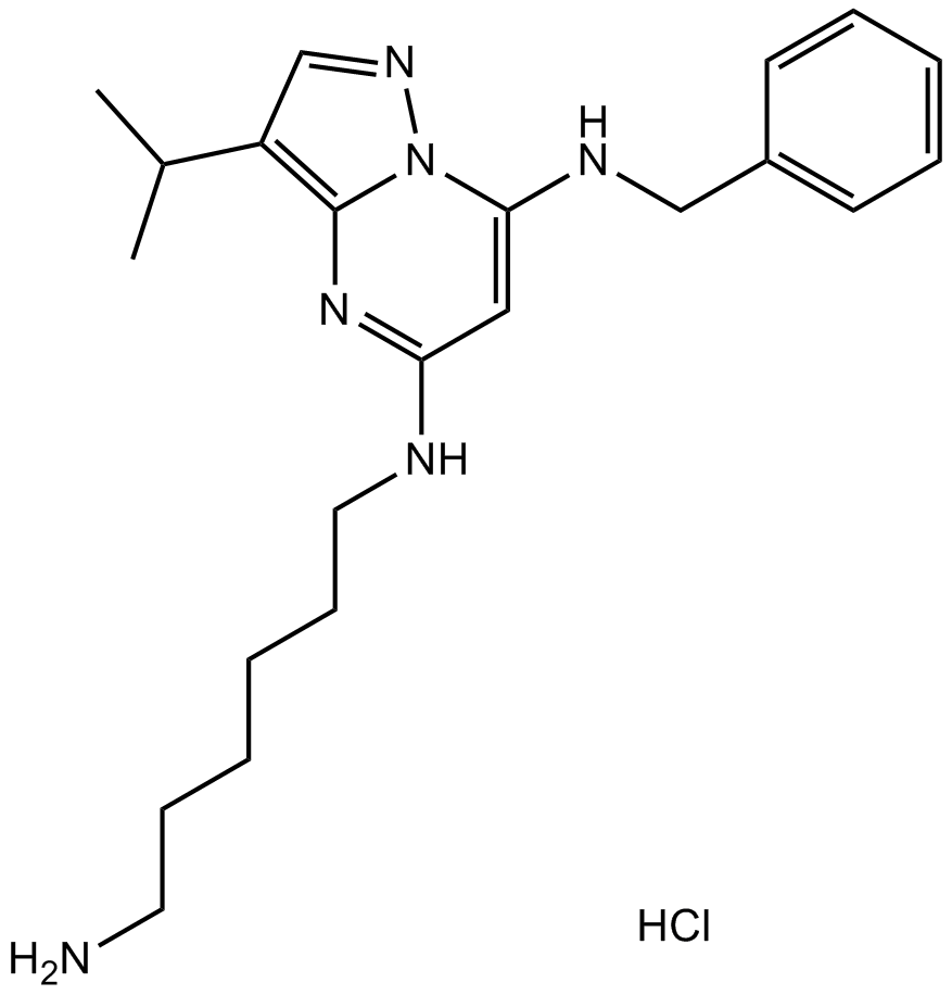 BS-181 HCl Chemical Structure