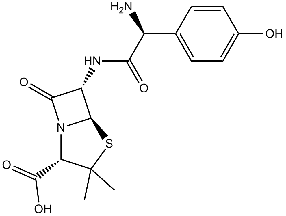 Amoxicillin Chemical Structure
