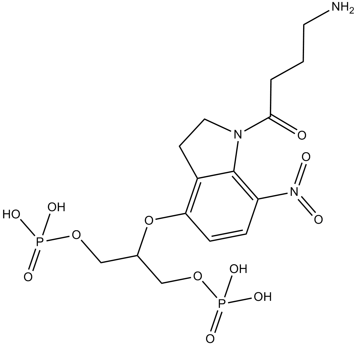 DPNI-caged-GABA Chemical Structure