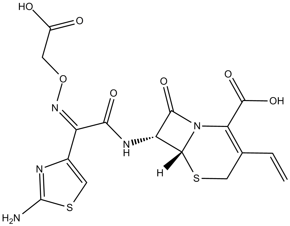 Cefixime Chemical Structure