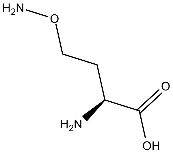 L-Canaline Chemical Structure