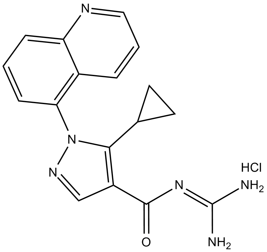 Zoniporide (hydrochloride) Chemical Structure
