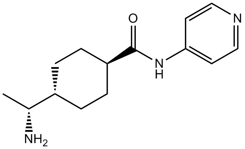 Y-27632 Chemical Structure