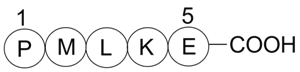 Bax inhibitor peptide P5 Chemical Structure