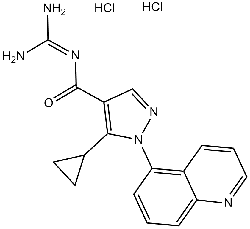 Zoniporide dihydrochloride Chemical Structure