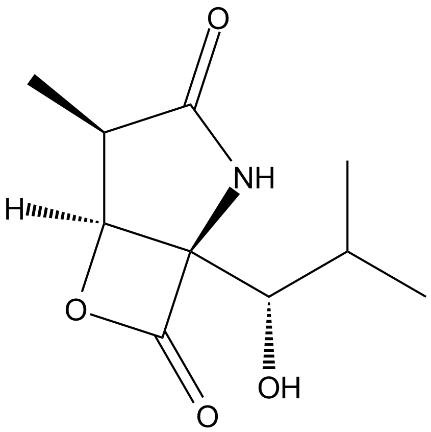 Clasto-Lactacystin β-lactone Chemical Structure