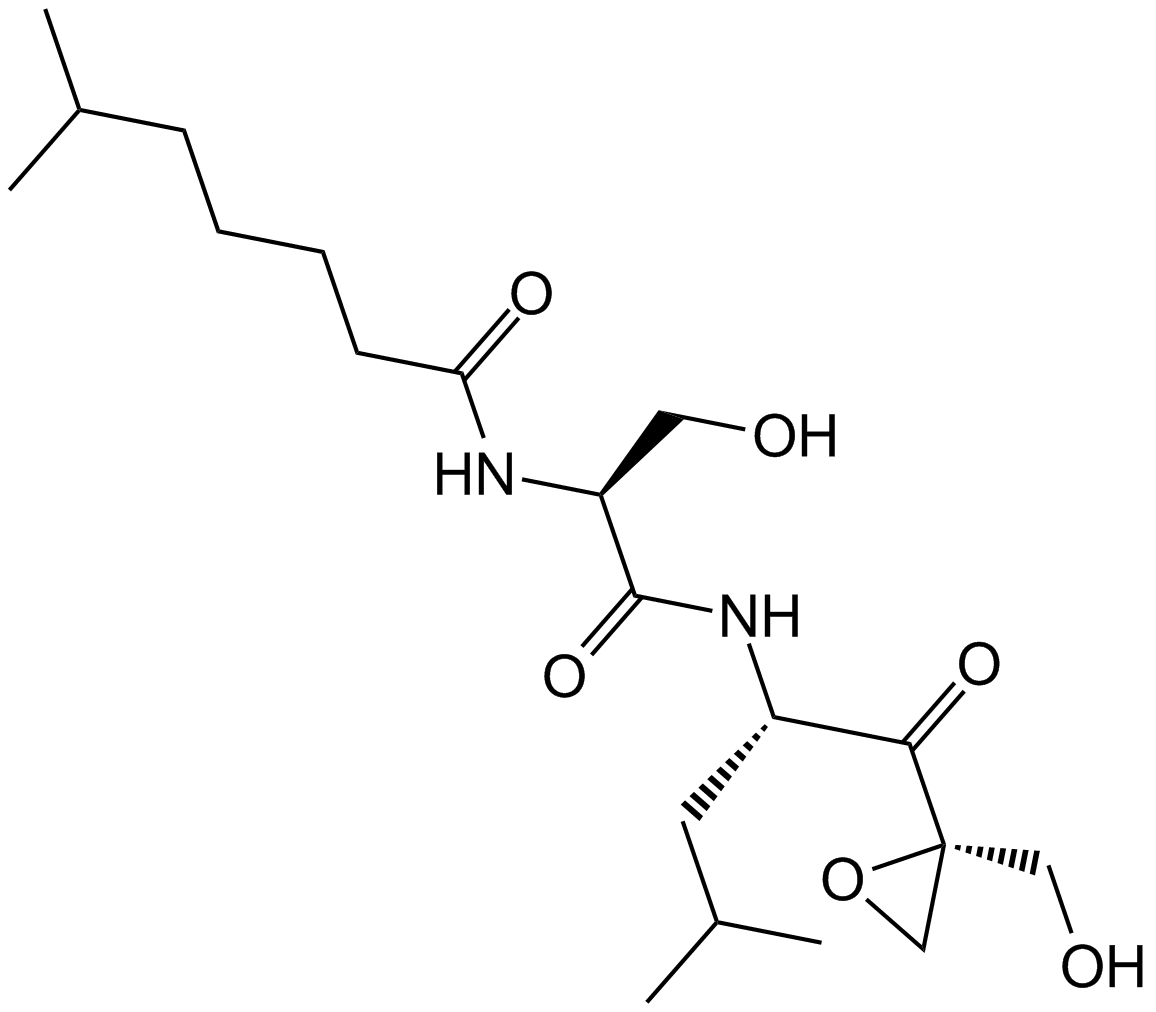 Dihydroeponemycin Chemical Structure