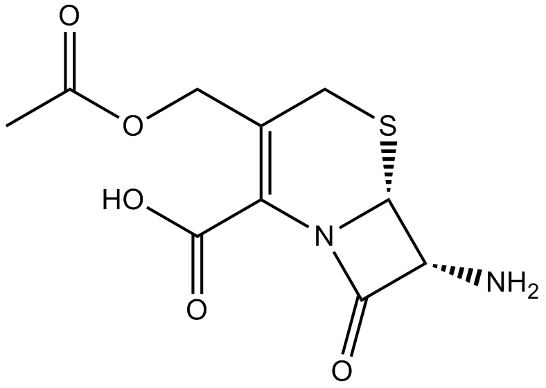 7-Aminocephalosporanic acid Chemical Structure