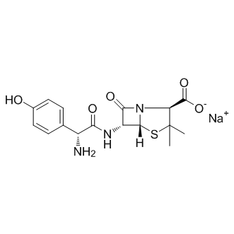 Amoxicillin Sodium Chemical Structure