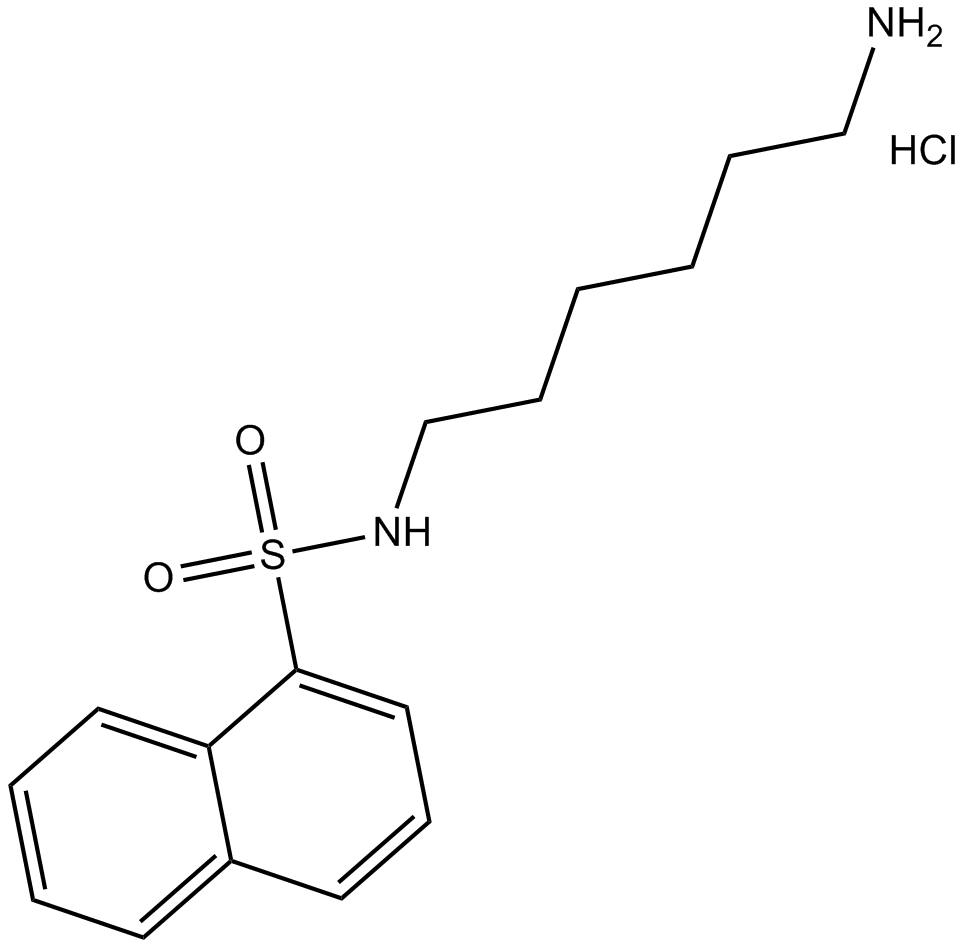 W-5 hydrochloride Chemical Structure