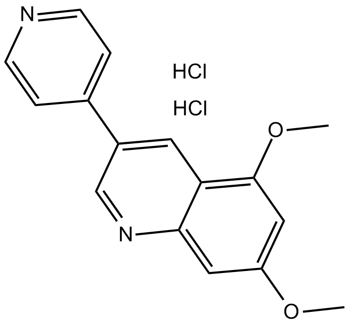 DMPQ dihydrochloride Chemical Structure