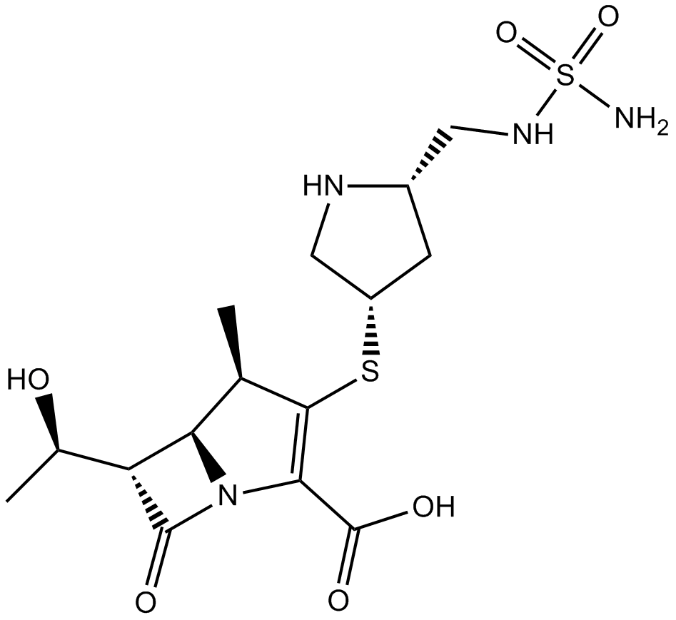 Doripenem Chemical Structure