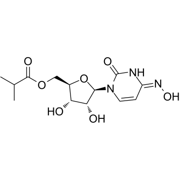 EIDD-2801 Chemical Structure