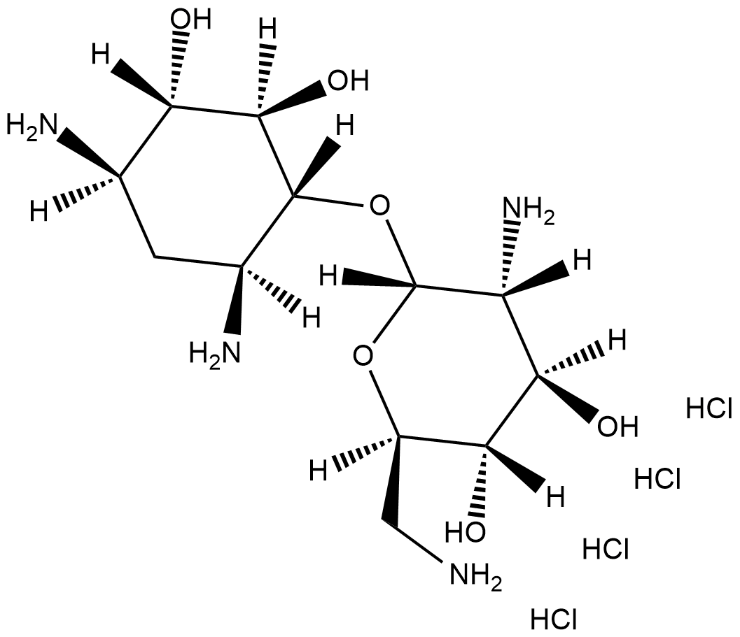 Neamine (hydrochloride) Chemical Structure