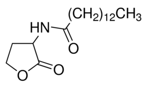 N-Tetradecanoyl-DL-homoserine lactone  Chemical Structure