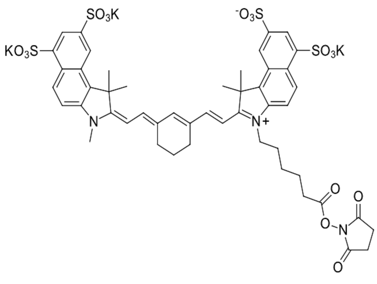 Sulfo-Cyanine7.5 NHS ester Chemical Structure