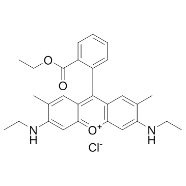 Rhodamine 6G (Basic Red 1) Chemical Structure