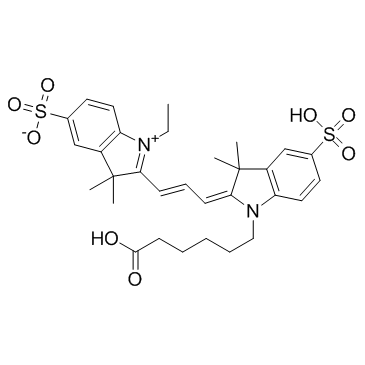 Zy3 carboxylic acid Chemical Structure