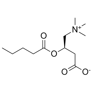Valerylcarnitine Chemical Structure