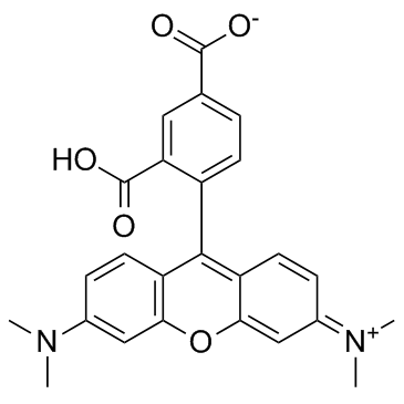 5-TAMRA (5-Carboxytetramethylrhodamine) Chemical Structure