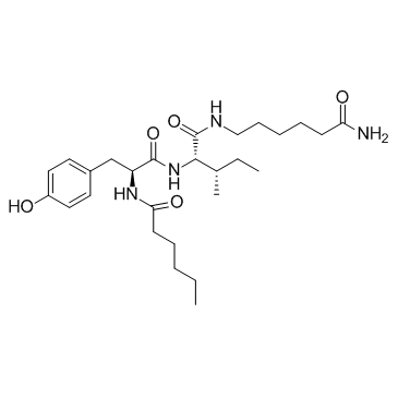 Dihexa (PNB-0408) Chemical Structure