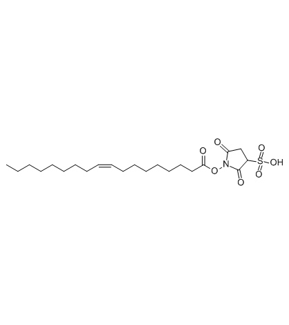 Sulfosuccinimidyl oleate Chemical Structure