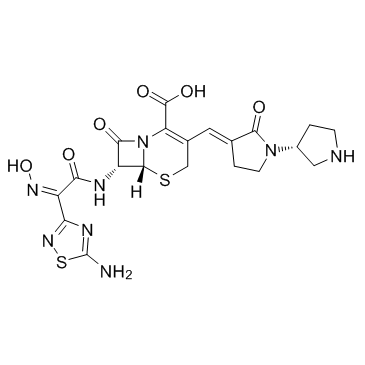 Ceftobiprole (Ro 63-9141) Chemical Structure