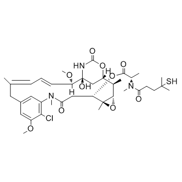DM4 Chemical Structure
