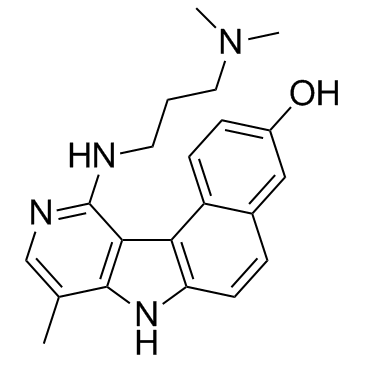 Intoplicine Chemical Structure
