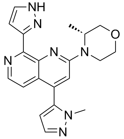 BAY-1895344 Chemical Structure