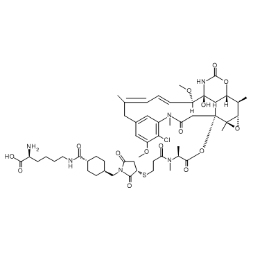 Lys-SMCC-DM1 (Lys-Nε-MCC-DM1) Chemical Structure