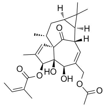 20-O-Acetylingenol-3-angelate (Euphorbia factor Pe1) Chemical Structure
