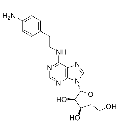 APNEA (N6-[2-(4-Aminophenyl)ethyl]adenosine) Chemical Structure