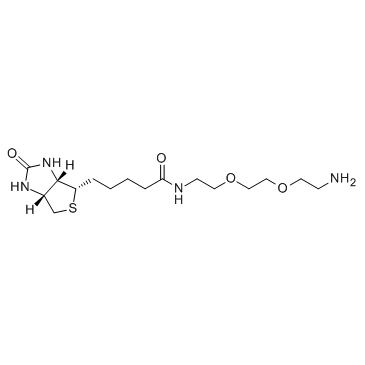 Biotin-DADOO (Biotinyl-3,6-dioxaoctanediamine) Chemical Structure