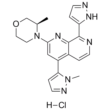 BAY-1895344 hydrochloride Chemical Structure