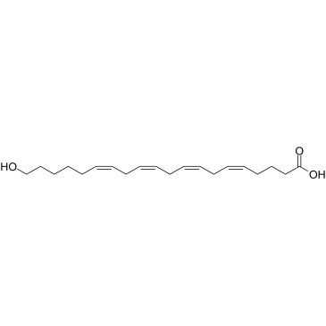20-HETE Chemical Structure