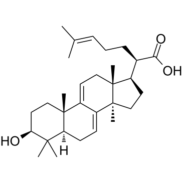 3-Dehydrotrametenolic acid Chemical Structure